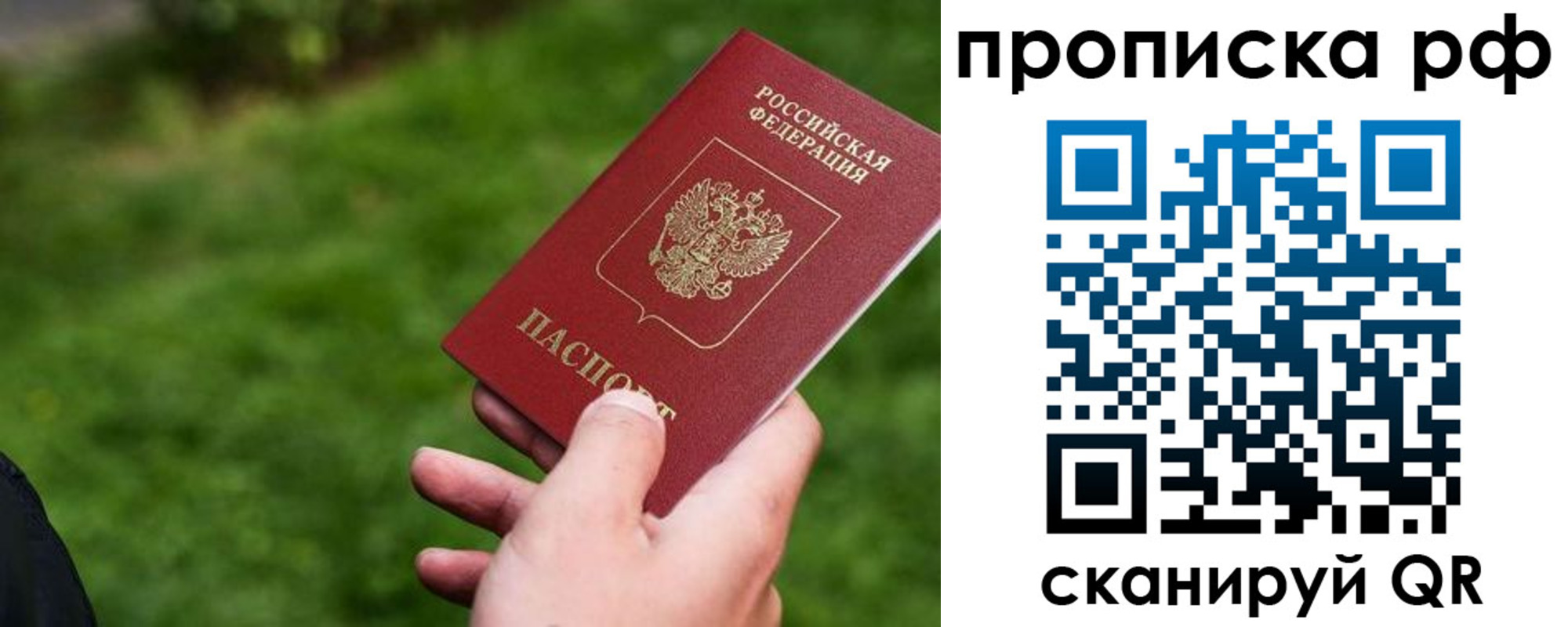 прописка для работы в Щиграх
